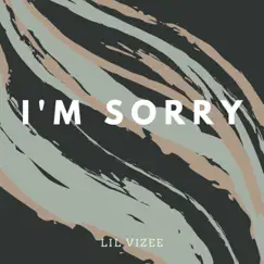 I'm Sorry - Single by Lil Vizee album reviews, ratings, credits