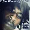 Bae Where'd You Go? - Single album lyrics, reviews, download