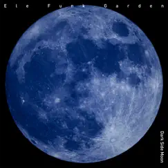 Dark Side Moon - Single by Ele Funk Garden album reviews, ratings, credits