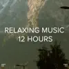 !!!" Relaxing Music 12 Hours "!!! album lyrics, reviews, download