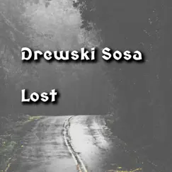 Lost (Instrumental) [Instrumental] - Single by Drewski Sosa album reviews, ratings, credits