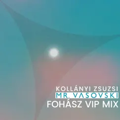 Fohász (VIP Mix) - Single by Mr. Vasovski & Kollányi Zsuzsi album reviews, ratings, credits