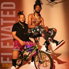 Elevated - Single by The Young Exec & DeAndre album reviews, ratings, credits