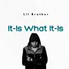 It Is What It Is (feat. Lil Brother) - Single album lyrics, reviews, download