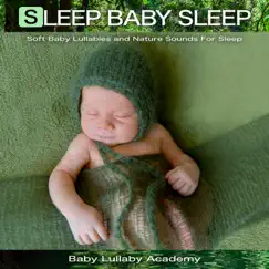 Baby Sleep Song Lyrics