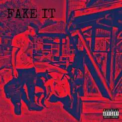 Fake It - Single by Snappa album reviews, ratings, credits