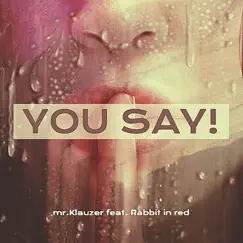 You Say (feat. Rabbit In Red) Song Lyrics