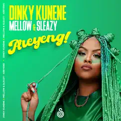 Areyeng - Single by Dinky Kunene & Mellow & Sleazy album reviews, ratings, credits