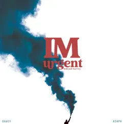 I'm Urgent (feat. Jodi Harvey) Song Lyrics