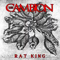 Rat King Song Lyrics