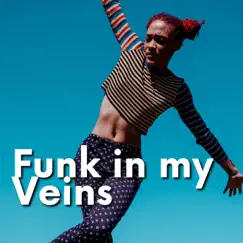 Funk in my Veins by Soul Music Channel, Funk Music & Instrumental Funk album reviews, ratings, credits