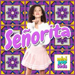 Señorita Song Lyrics