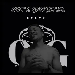 Not a Gangster - Single by BXBY X album reviews, ratings, credits