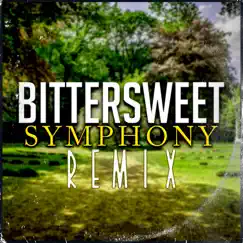 Bittersweet Symphony (Club Mixes) - Single by MaxMix album reviews, ratings, credits