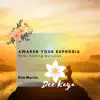 Awaken Your Euphoria - Reiki Healing Melodies album lyrics, reviews, download