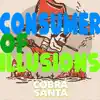 Consumer of Illusions - Single album lyrics, reviews, download