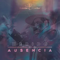 Herido de Ausencia - Single by Dalmiro Cuellar album reviews, ratings, credits