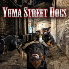 Landslide - Single by Yuma Street Dogs album reviews, ratings, credits
