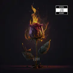 SOLO - Single by ŁuVy album reviews, ratings, credits
