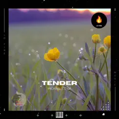 Tender - Single by Michael Tylor album reviews, ratings, credits
