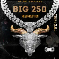 Big 250 Resurrection by Young S.H.O album reviews, ratings, credits
