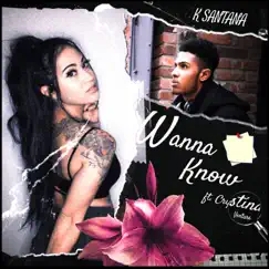 Wanna Know (feat. Crystina Ventura) - Single by K Santana album reviews, ratings, credits