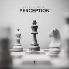 Perception (Radio Edit) Song Lyrics