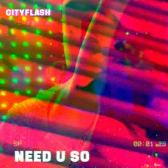 Need U So - Single by Cityflash album reviews, ratings, credits