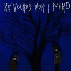 My Wounds Won't Mend (feat. Autumndropsdead) Song Lyrics