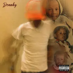 Donnky Song Lyrics