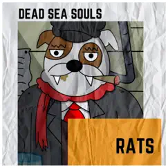 Rats - Single by Dead Sea Souls album reviews, ratings, credits