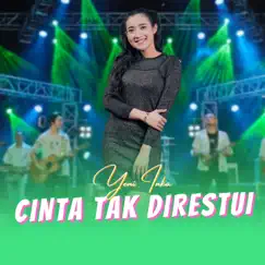 Cinta Tak Direstui Song Lyrics