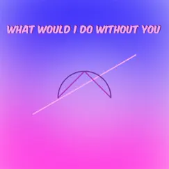 What Would I Do Without You - Single by Zaracz album reviews, ratings, credits