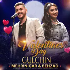 Gulcin (feat. Behzad) - Single by Mehrnigor rustam album reviews, ratings, credits