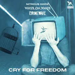 Cry for Freedom (Radio Edit) Song Lyrics