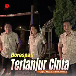 Terlanjur Cinta Song Lyrics