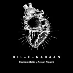 Dil E Nadaan Song Lyrics