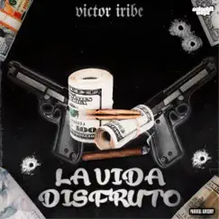 La Vida Disfruto - Single by Victor Iribe album reviews, ratings, credits