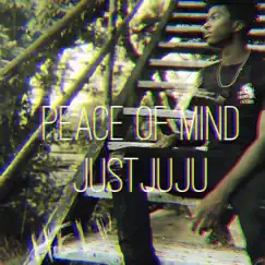 Peace of Mind - Single by JustJuJu album reviews, ratings, credits