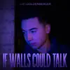 If Walls Could Talk - Single album lyrics, reviews, download