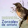 Zorzales de Antaño - Orquesta Rodolfo Biagi - A La Luz De Un Candil album lyrics, reviews, download