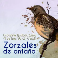 Zorzales de Antaño - Orquesta Rodolfo Biagi - A La Luz De Un Candil by Orquesta Rodolfo Biagi album reviews, ratings, credits