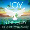 Joy in the Valley - Single album lyrics, reviews, download