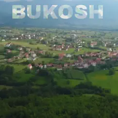 Bukosh (Instrumental Version) Song Lyrics