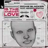 Is the Answer Love (feat. Serena Sophia) - Single album lyrics, reviews, download