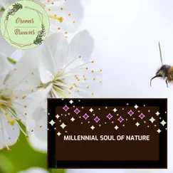 Millennial Soul of Nature by Calm music & Massage Tribe album reviews, ratings, credits