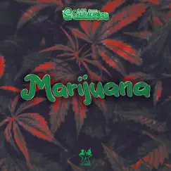 Marijuana - Single by Los Súper Caracoles album reviews, ratings, credits