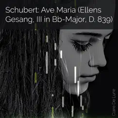Schubert: Ave Maria (Ellens Gesang, III in Bb-Major, D. 839) Song Lyrics
