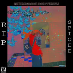 Another Highschool Rooftop (Freestyle) - Single by RIP $PICEE album reviews, ratings, credits