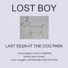 Lost Boy - Single album lyrics, reviews, download